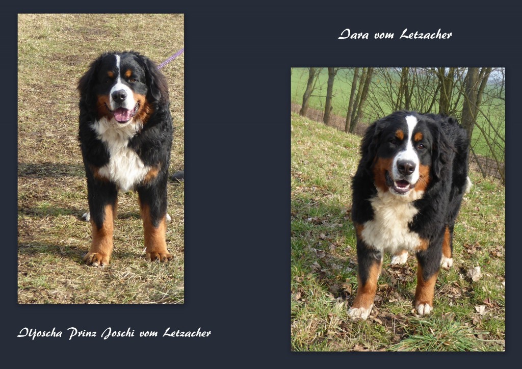 20160405 Joschi und Iara