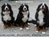 20110512-querida-emma-wega-und-aura-aska