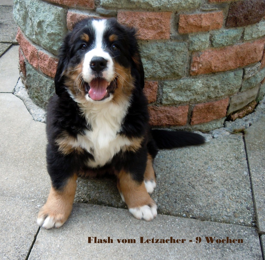 20130728 Flash vom Letzacher - 9 Wochen